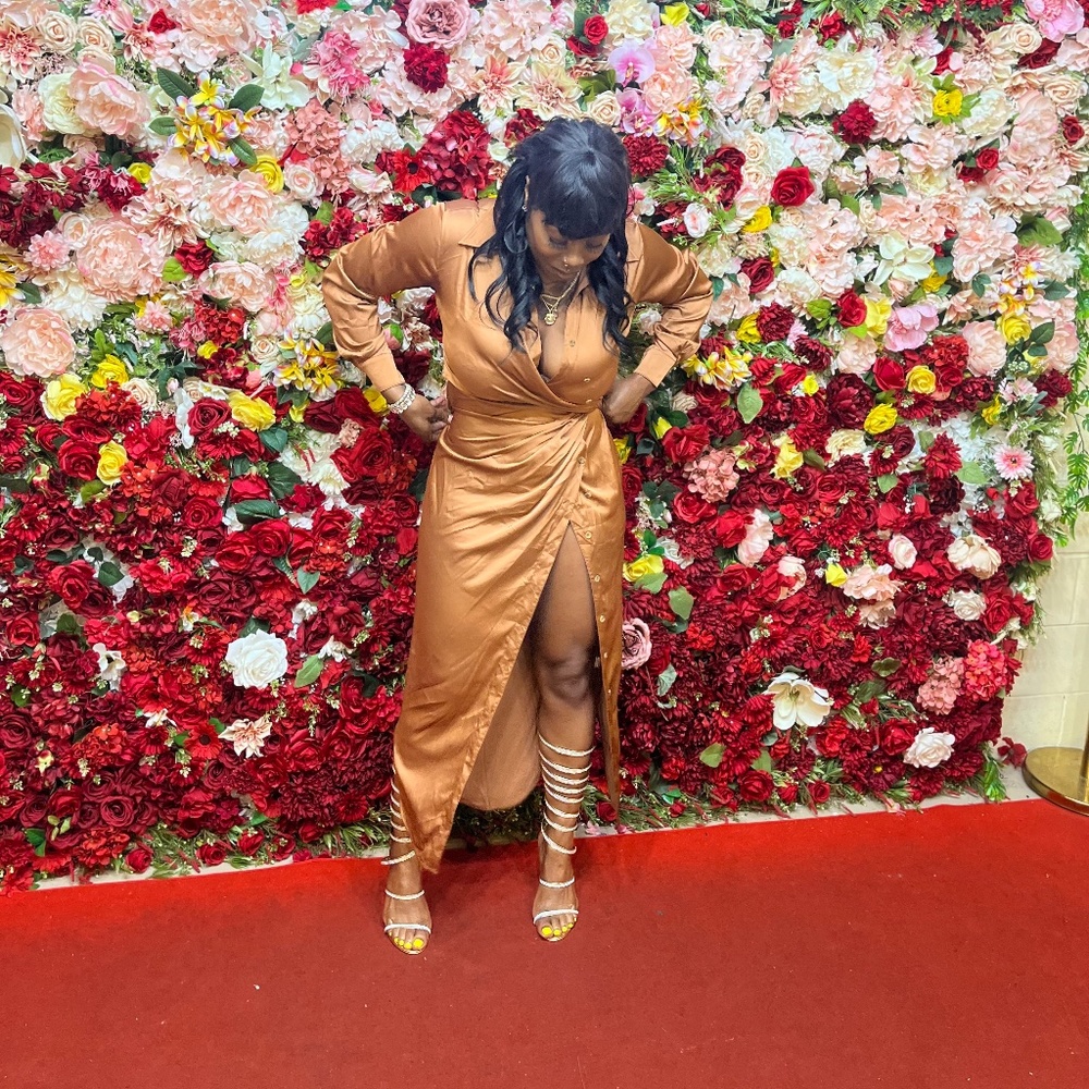 Brown Silk Dress
